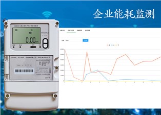 企業(yè)能耗監(jiān)測—老王說表